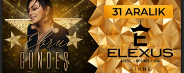 Ebru Gündeş Konseri